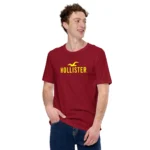 Camiseta Masculina Hollister - Imagem 10