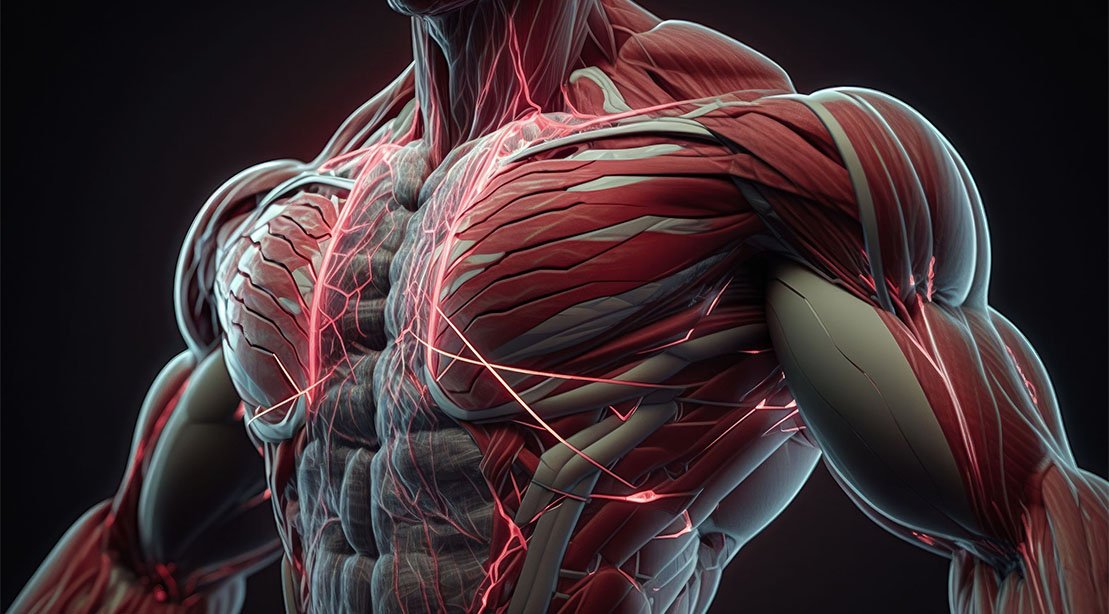 Gabrielle Lyon compartilha por que Musclespan é a nova métrica na qual devemos nos concentrar