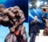 Andrew Jacked vence o Arnold Classic de 2026: resultados completos, prêmios e destaques
