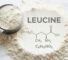 Novo estudo revela como a leucina aumenta a energia, o crescimento muscular e o metabolismo